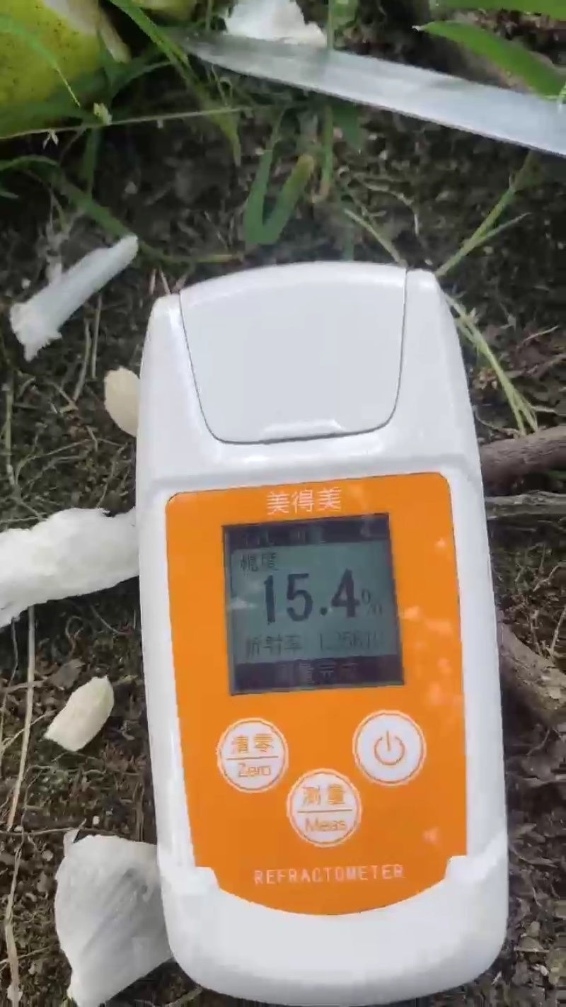 沙田柚，个头均匀，皮薄多汁，量大从优欢迎来电