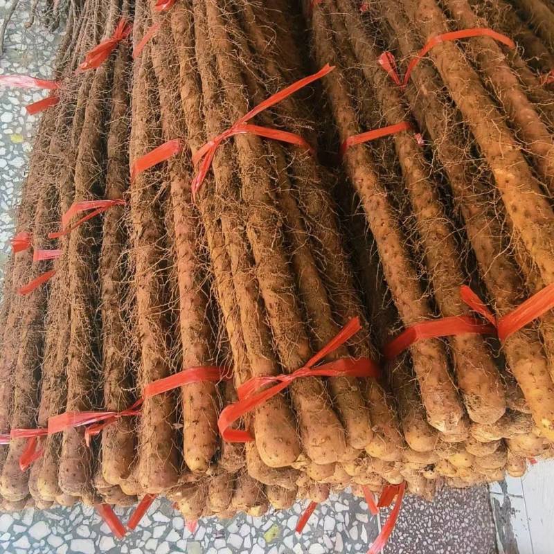 铁棍山药，对接各种商超，产地直发，大量供应