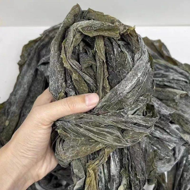 【推荐】福建海带霞浦海带。产地直发保质保量电商团购批