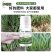 韭菜专控专用控旺叶面肥增粗护根养根壮根高抗倒伏预防烂根叶