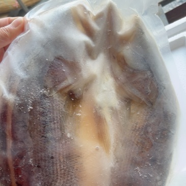 开背海鲈鱼800-1000规格电商餐饮批发零售
