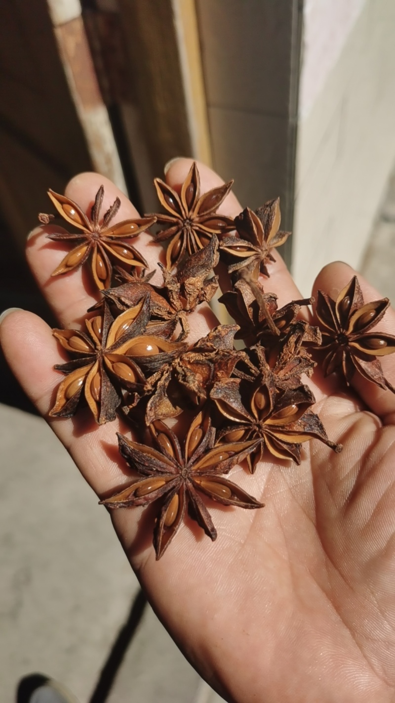 广西玉林北流市水烫无硫大红八角，产地直发。