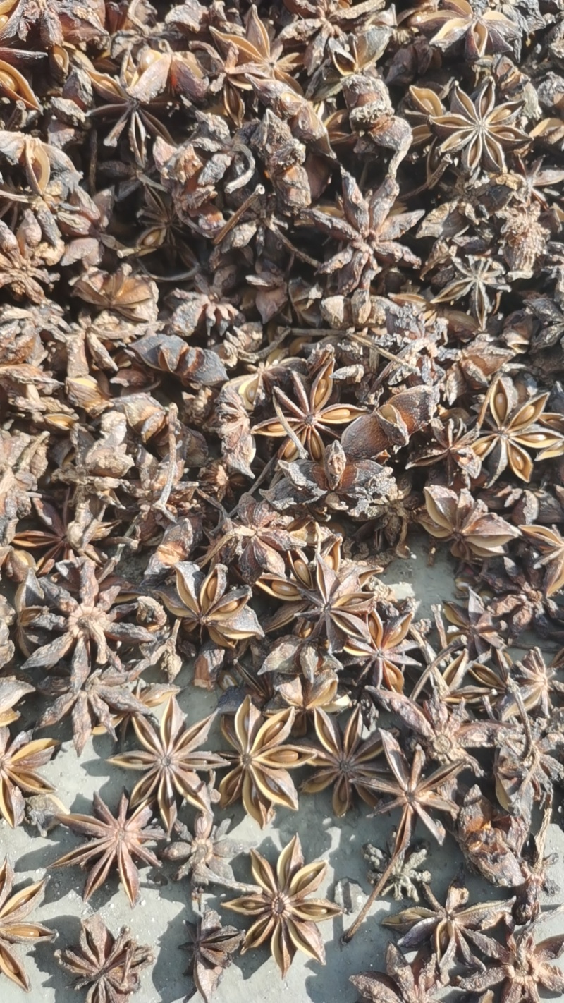 广西玉林北流市水烫无硫大红八角，产地直发。