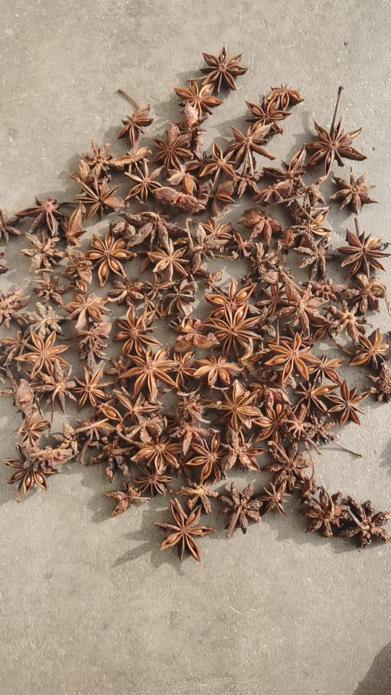 广西玉林北流市水烫无硫大红八角，产地直发。