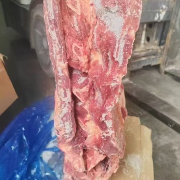 牛脊骨带排骨