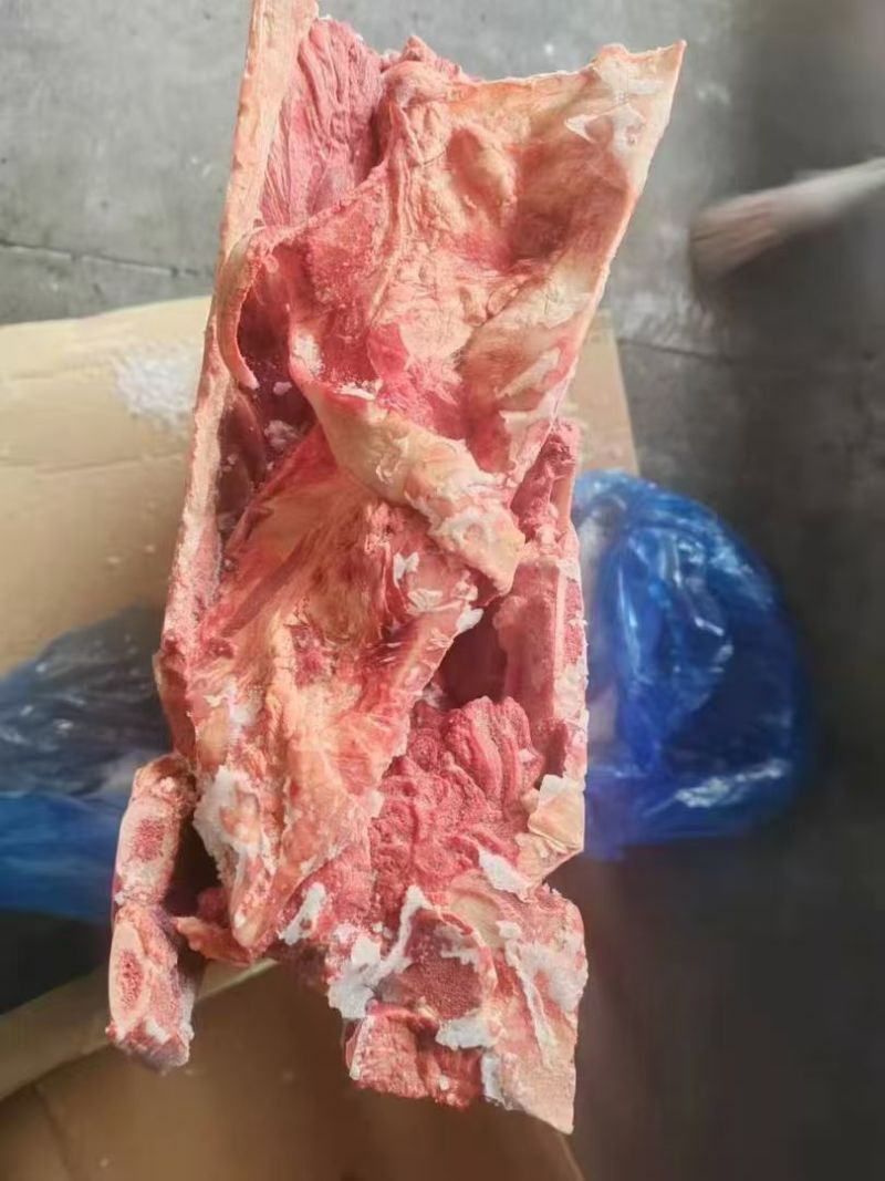 牛脊骨带排骨
