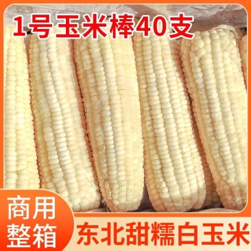 东北糯玉米-白