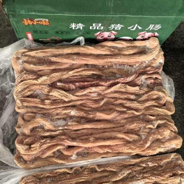 熟小肠