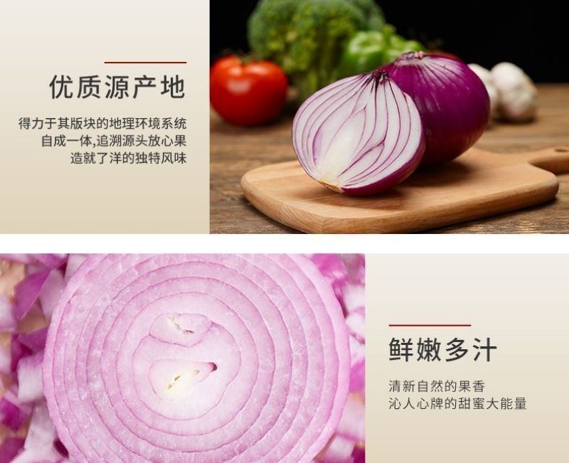 包邮【山东产地直发】正宗当季紫红皮洋葱新鲜水果洋葱紫皮葱