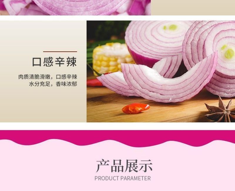 包邮【山东产地直发】正宗当季紫红皮洋葱新鲜水果洋葱紫皮葱