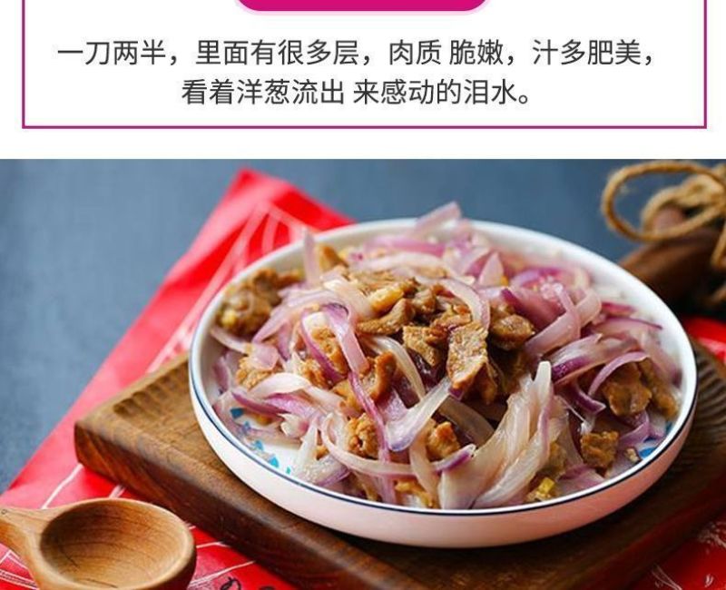 包邮【山东产地直发】正宗当季紫红皮洋葱新鲜水果洋葱紫皮葱