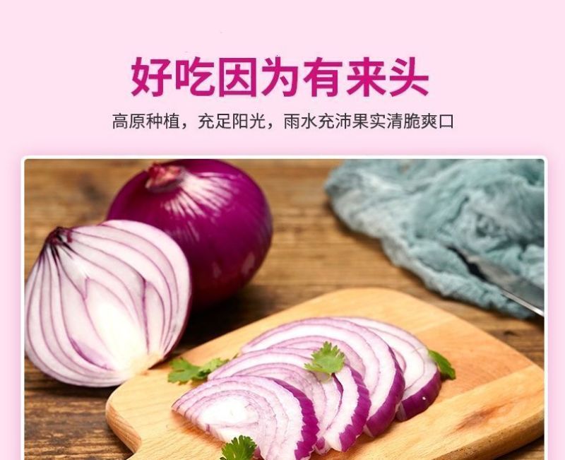 包邮【山东产地直发】正宗当季紫红皮洋葱新鲜水果洋葱紫皮葱