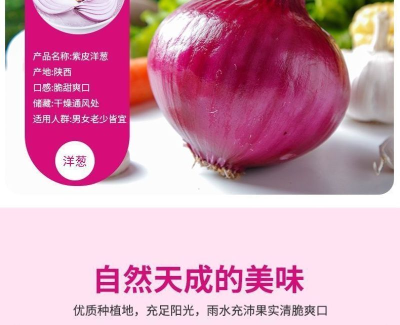 包邮【山东产地直发】正宗当季紫红皮洋葱新鲜水果洋葱紫皮葱