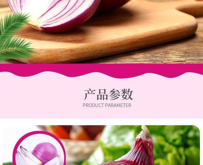 包邮【山东产地直发】正宗当季紫红皮洋葱新鲜水果洋葱紫皮葱