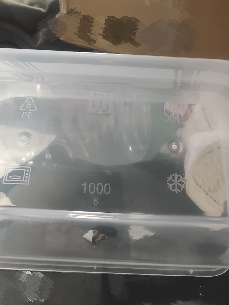 一次性饭盒