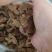 广木香云木香新货无硫中药材批发