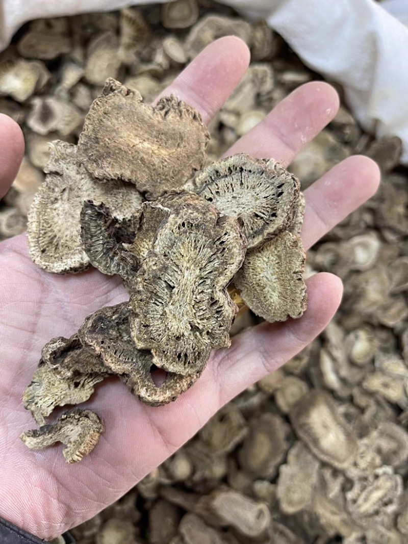 广木香云木香新货无硫中药材批发