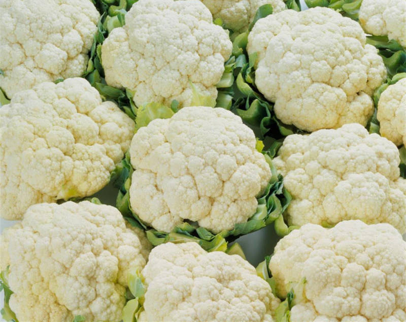 有机松花菜安徽菜花白面青梗散花代收代发一手货源