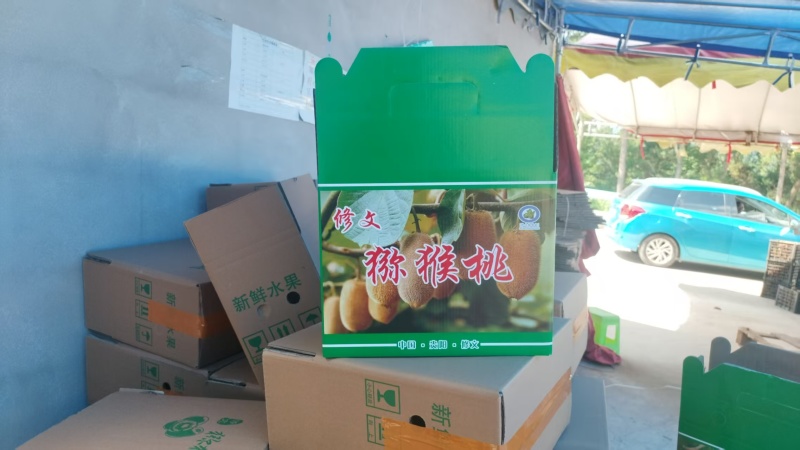 贵州修文绿心猕猴桃大量接单产地直发量大从优欢迎来电