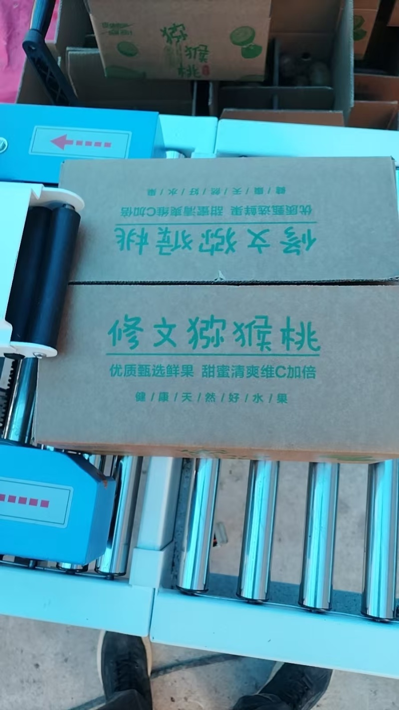 贵州修文绿心猕猴桃大量接单产地直发量大从优欢迎来电