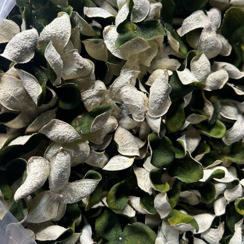 广东精品青皮品质保证赠送试用装（不满意可退）