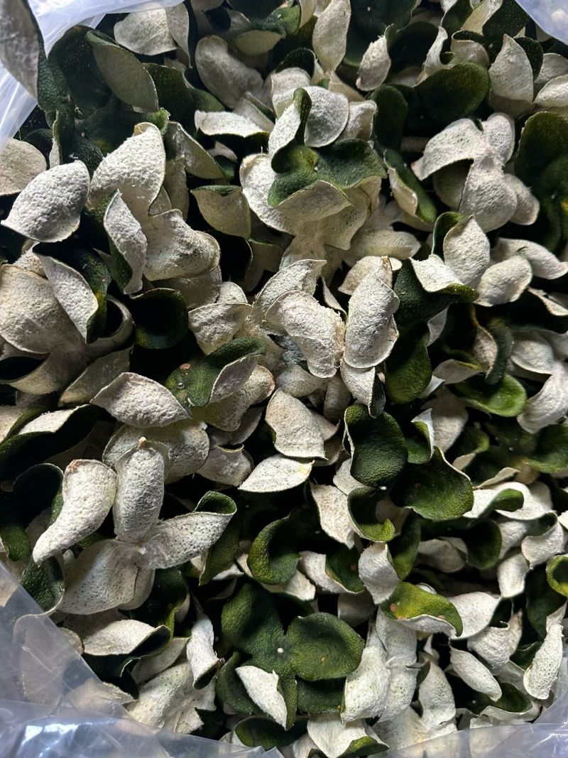 广东精品青皮品质保证赠送试用装（不满意可退）