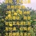信丰脐橙，可对接商贸，团购，电商