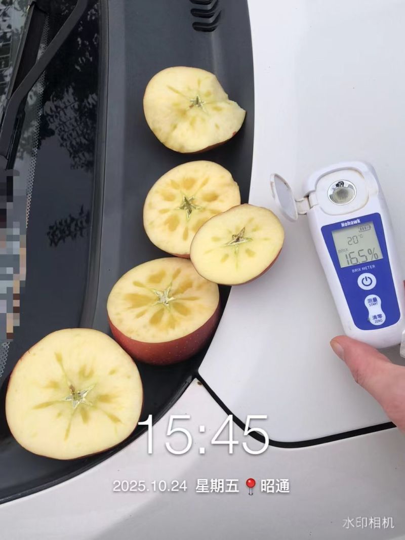 云南昭通丑苹果冰糖心苹果大凉山丑苹果晚熟糖心红富士苹果