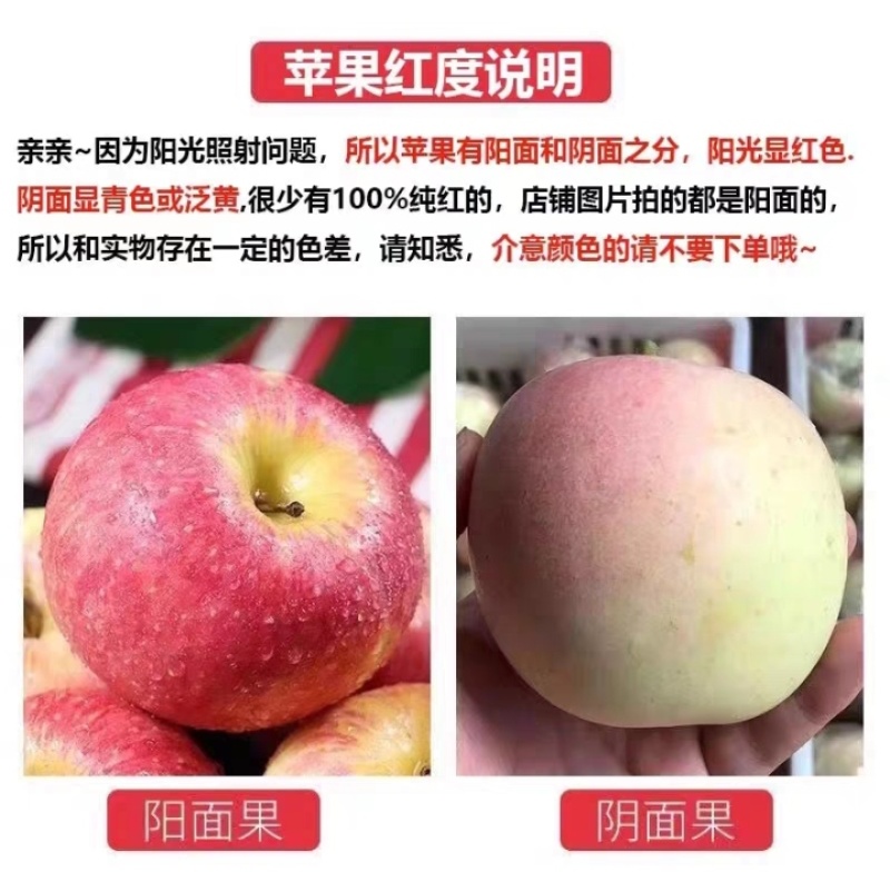 红富士苹果水果当季现摘新鲜脆甜陕西苹果