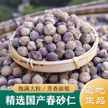 砂仁阳春砂仁砂仁干货云南砂仁中药材批发零售