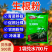 贝乐康生根粉植物生根剂促根壮棵育苗移栽嫁接冲淋灌粉剂正品