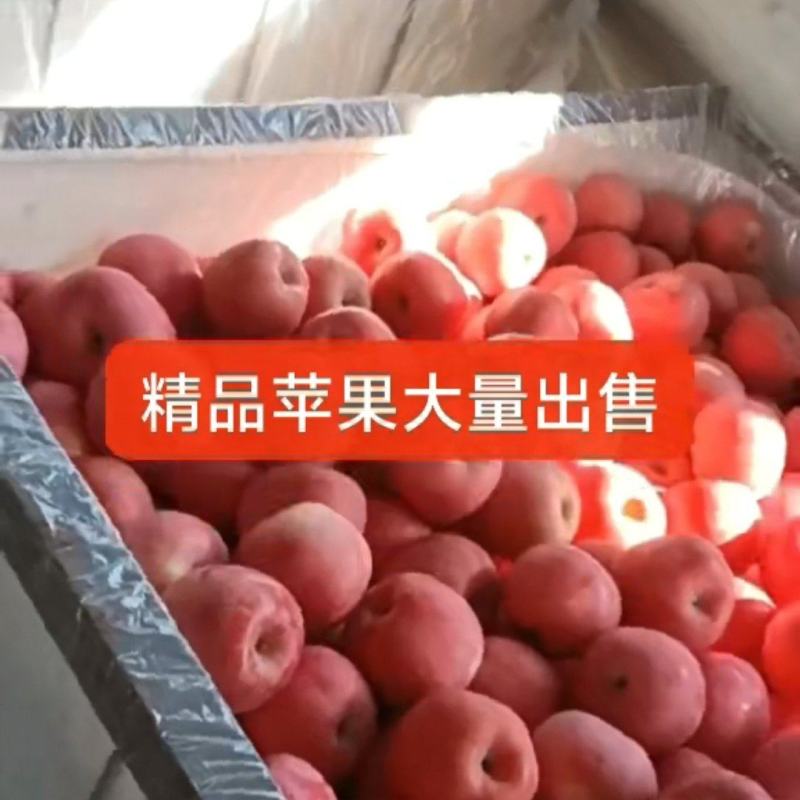 烟台苹果