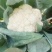 （精品）花菜，大量供货，产地直发，货源充足。