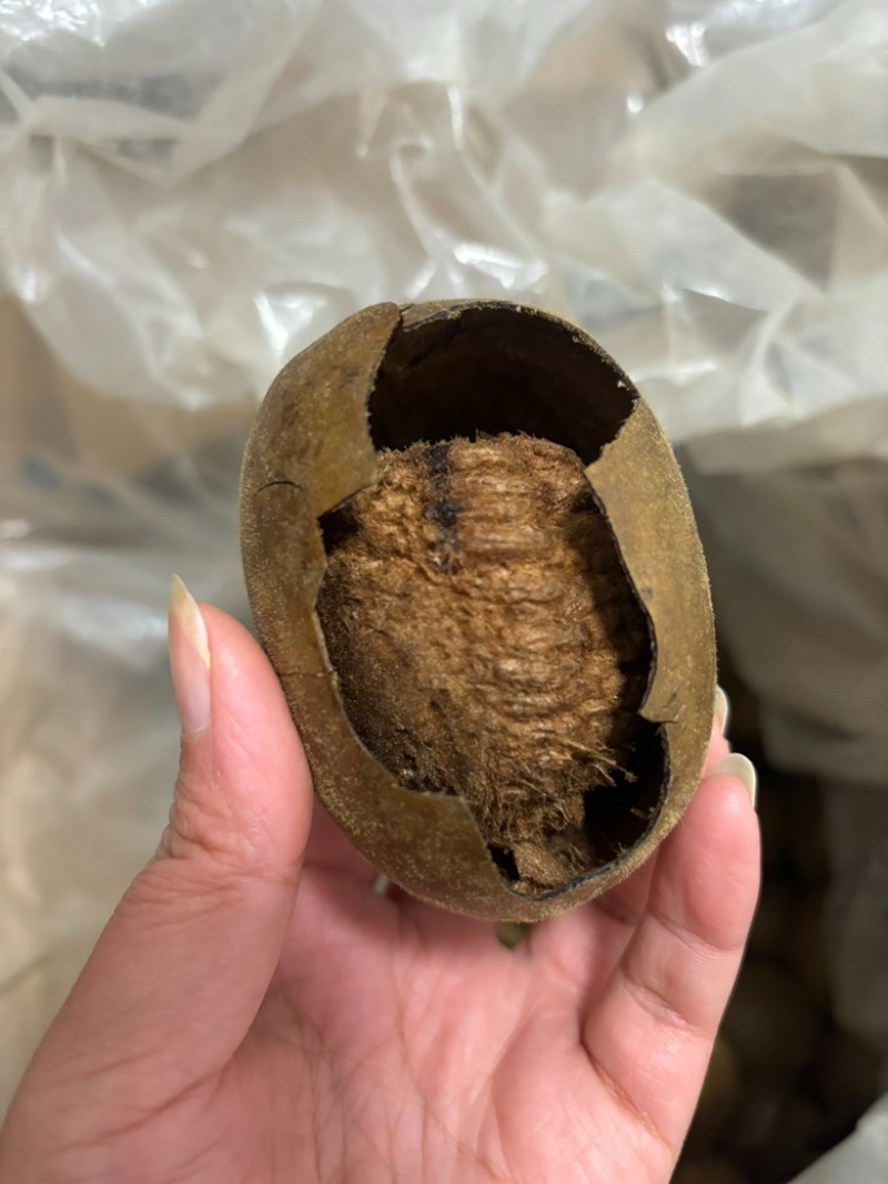 罗汉果各种规格罗汉果中药材批发保质保量