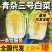 【精选】青杂三号/黄心白菜/净菜4-6斤/基地代发全国