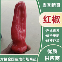 当季红椒，产地直发品质保证，新鲜现摘量大从优！