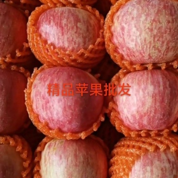 苹果
