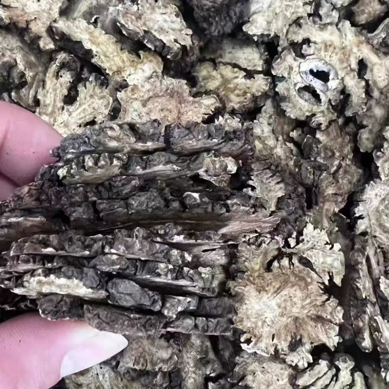 川芎中药材批发无硫川芎川芎片各种规格