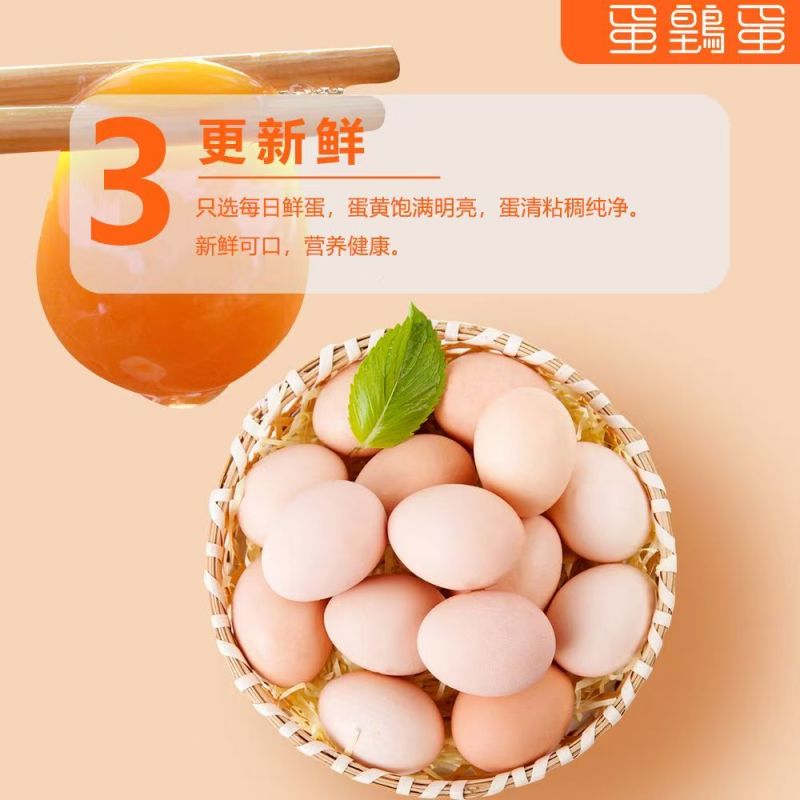 河南本地精品富硒无抗可生食一件代发鸡场直发可喷码
