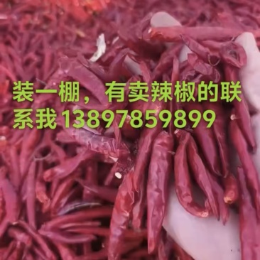 凌海红太阳干辣椒