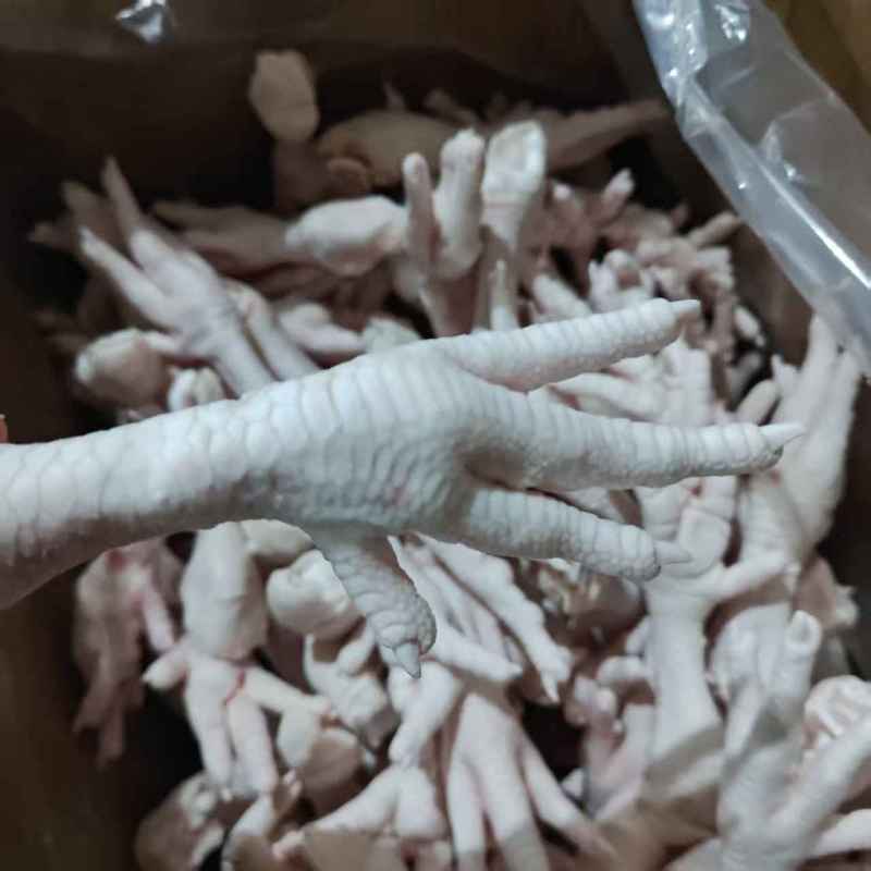鸡爪单冻大爪断爪花爪大量供应可视频看货欢迎来电采购
