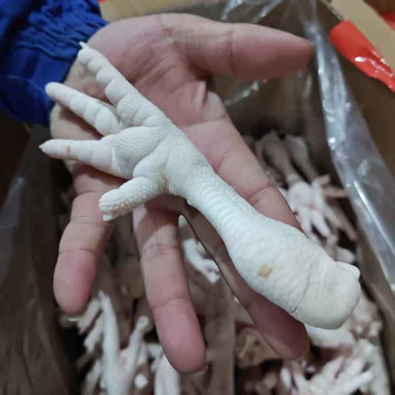 鸡爪单冻大爪断爪花爪大量供应可视频看货欢迎来电采购