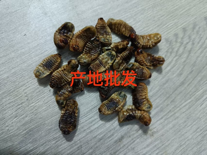 金龟子幼虫中药材蛴螬野生正品土蚕老母核桃虫粪虫可磨包邮