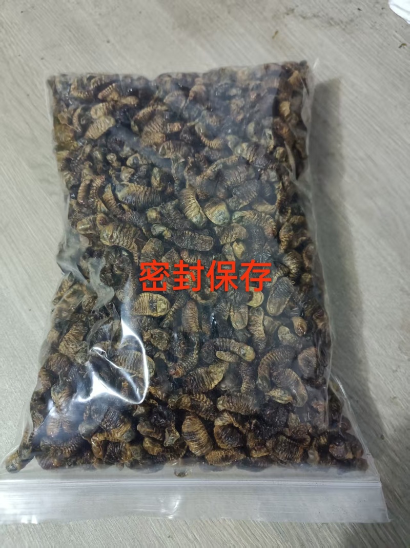 金龟子幼虫中药材蛴螬野生正品土蚕老母核桃虫粪虫可磨包邮