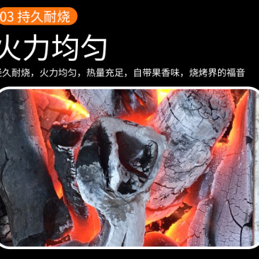 烧烤炭