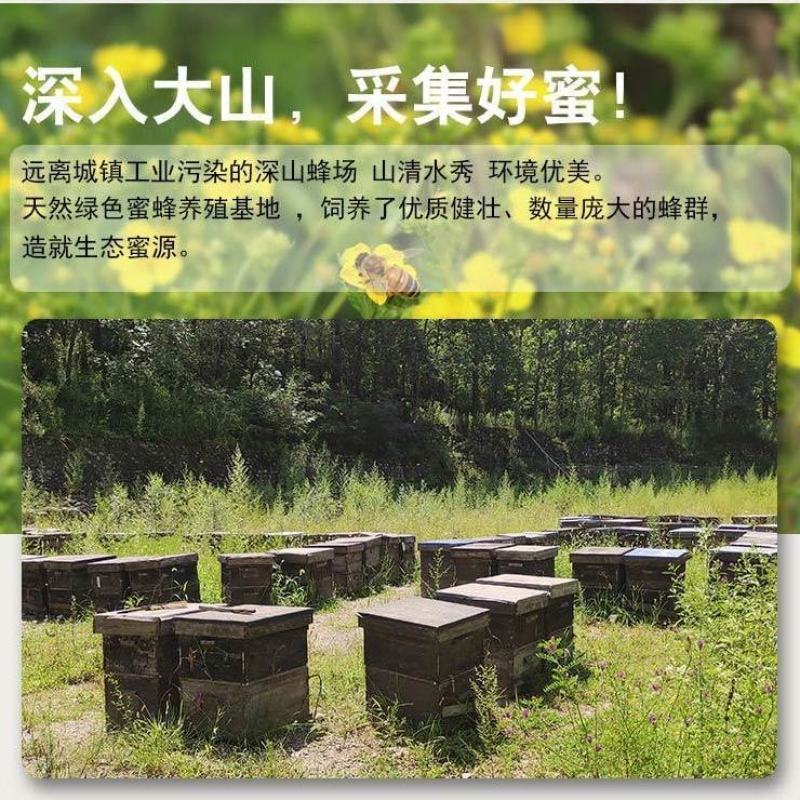 太行山土蜂蜜纯正天然正宗百花蜂蜜玻璃瓶蜂蜜官方正品烘焙送