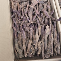 锁阳个子各种规格锁阳片新货无硫量大从优