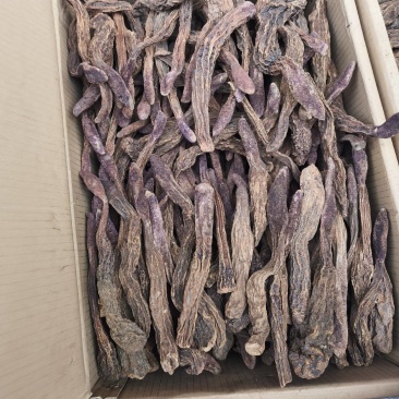 锁阳个子各种规格锁阳片新货无硫量大从优