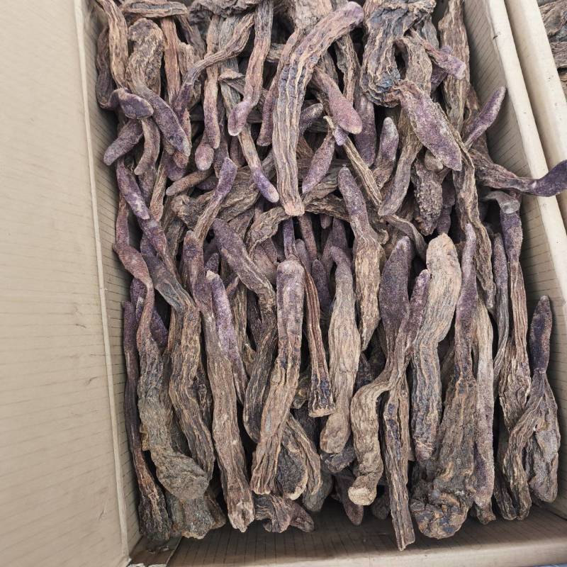 锁阳个子各种规格锁阳片新货无硫量大从优
