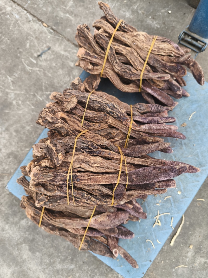 锁阳个子各种规格锁阳片新货无硫量大从优